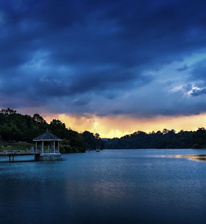 MacRitchie Reservoir